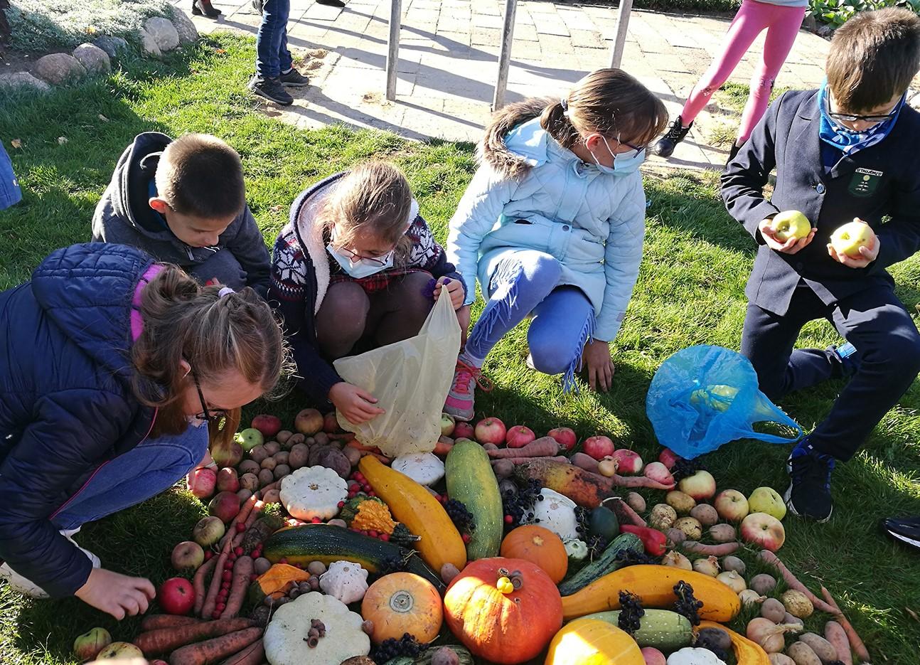 Keliavo rudenėlio taku / Iš vaisių ir daržovių vaikai dėlioja kilimą.