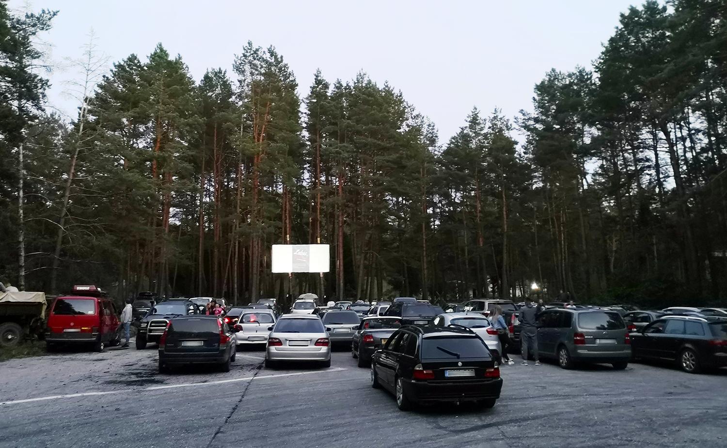 Kino seansą perkėlė į mišką / Kinas rodomas miške.