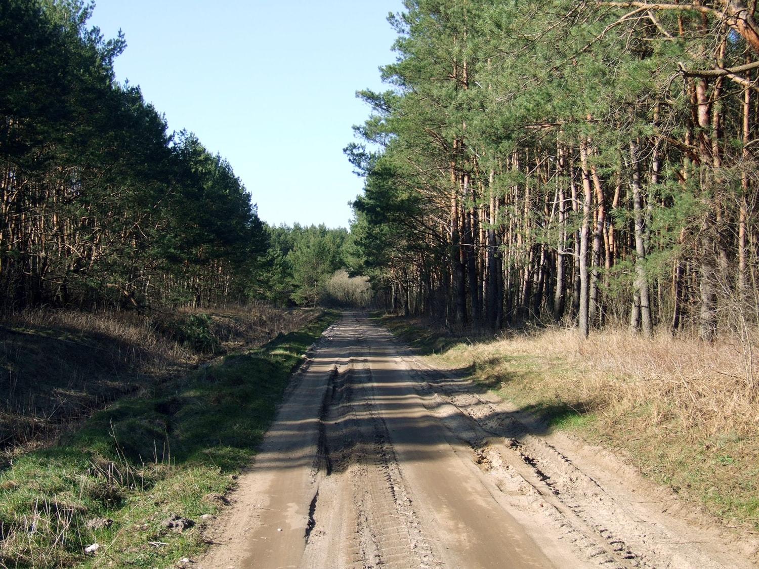 Lėšas miško kelių priežiūrai skirstė komisija / Ukmergės miškų keliai
