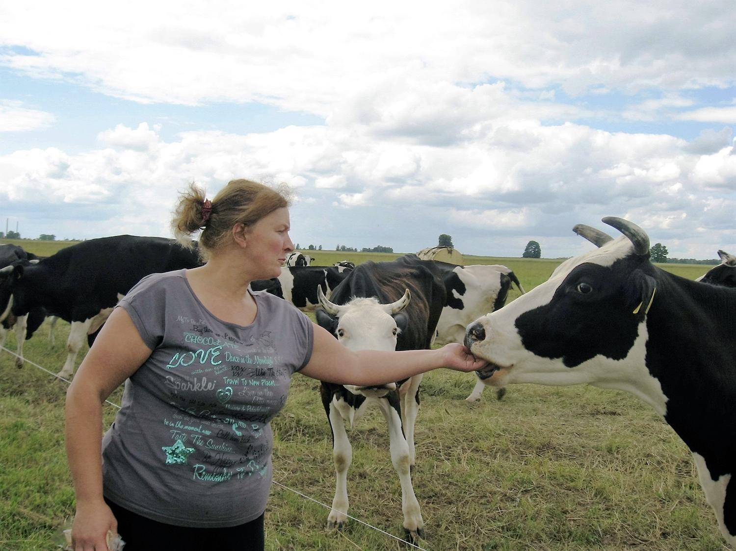 Mišrus ūkis atsisveikina su karvėmis / Ūkininkei R. Varnienei gaila atsisveikinti su karvėmis. Autorės nuotr.