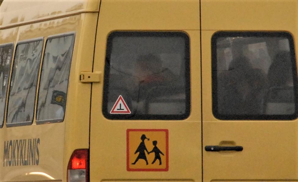 Mokyklinis autobusiukas susidūrė su iš aptvaro pasprukusiu poniu /