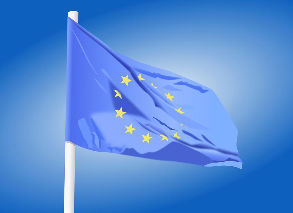 Peticijų rengimas Europos žmogaus teisių teismui /