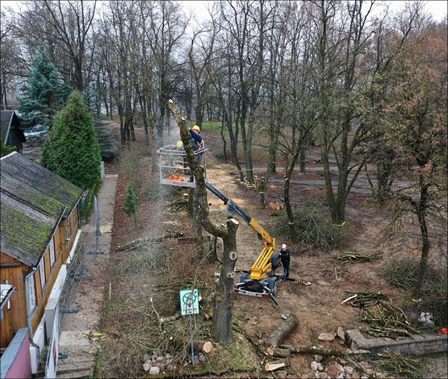 Pilies parke darbuojasi medžių pjovėjai / Dainiaus Vyto nuotr. Medžių pjovėjai darbų ėmėsi parke.