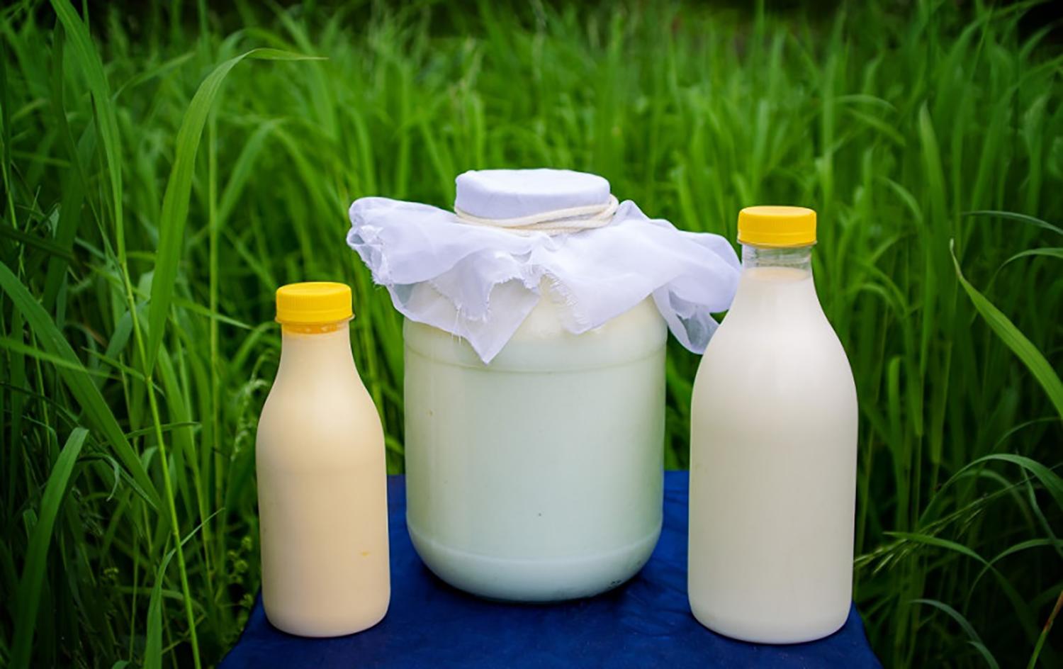 Reikalavimus nacionalinei paramai gauti atitinka beveik 90 proc. pieno gamintojų / Pieno ūkiai sulauks paramos.