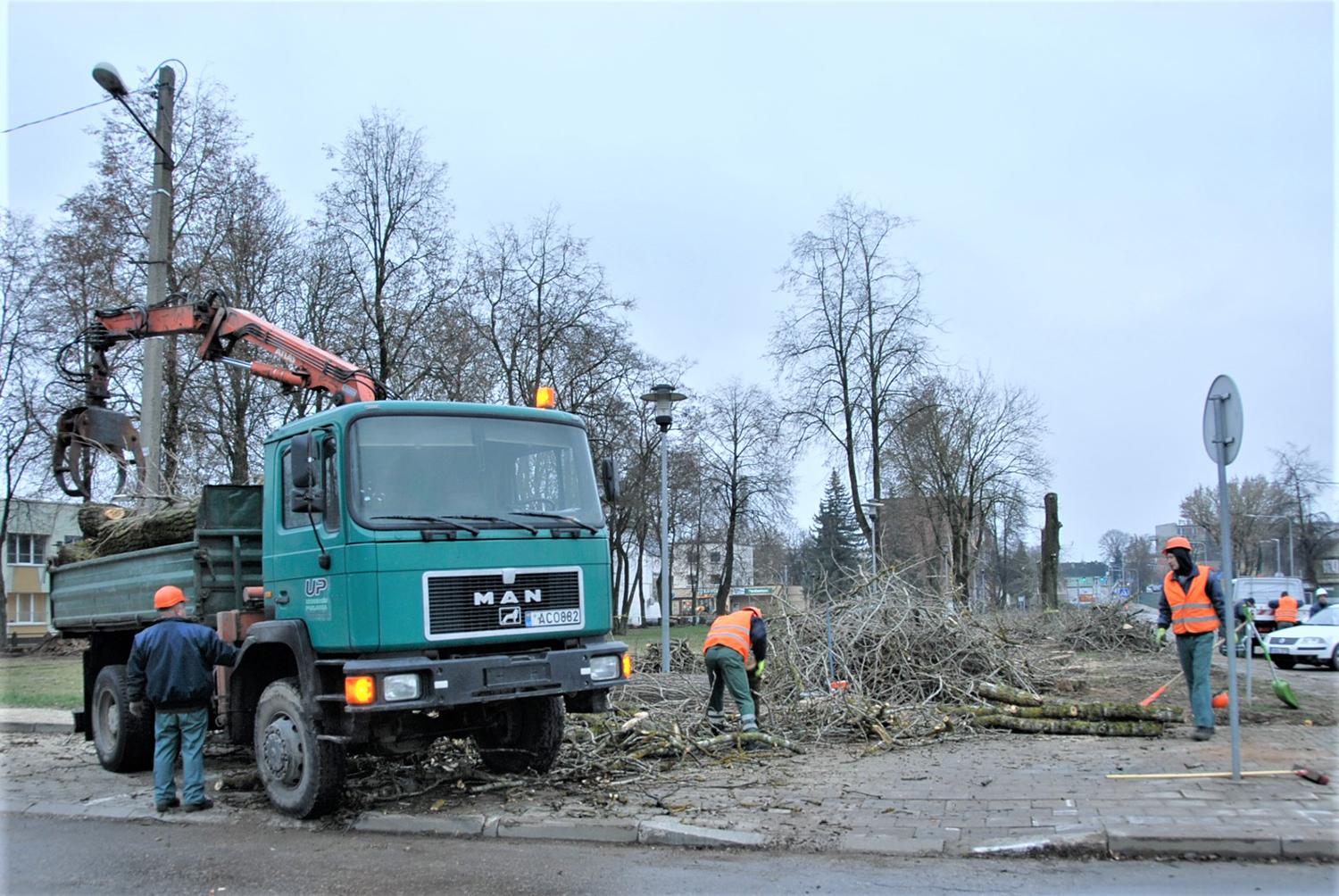Rekonstruojamoje gatvėje darbai verda toliau / Gedimino Nemunaičio nuotr. Nupjauti medžiai skvere šalia Klaipėdos gatvės.