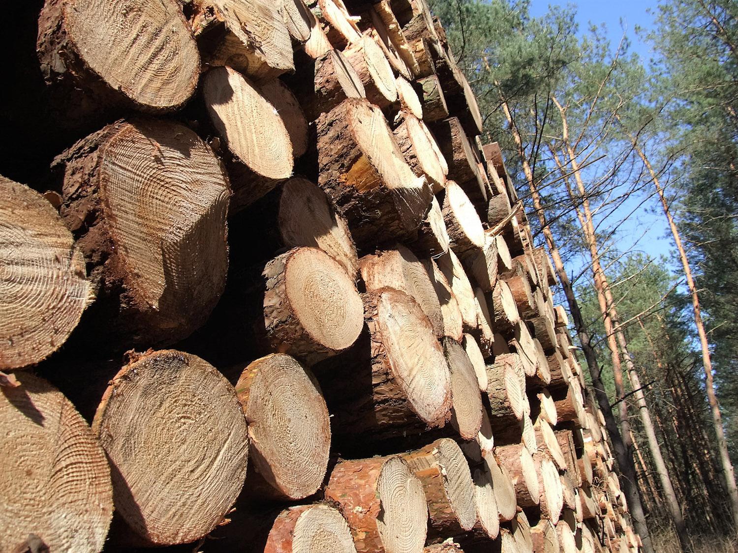 „Šilalės mediena“ statys gamyklą Ukmergėje /