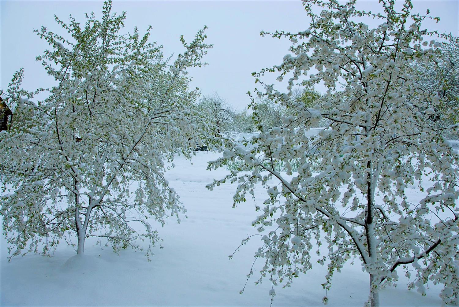 Sugrįžusi žiema – ir grožis