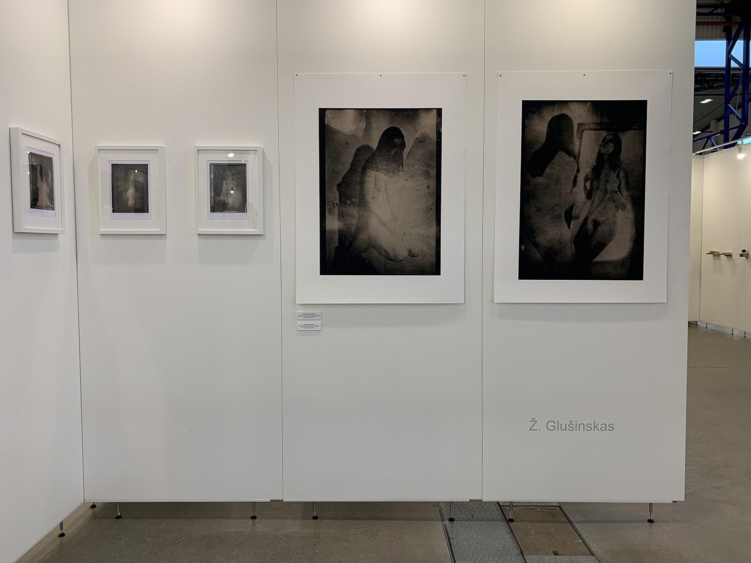 Tarptautinėje parodoje – „Vilkamirgės“ galerija / Fotomenininko Ž. Glušinsko darbai.