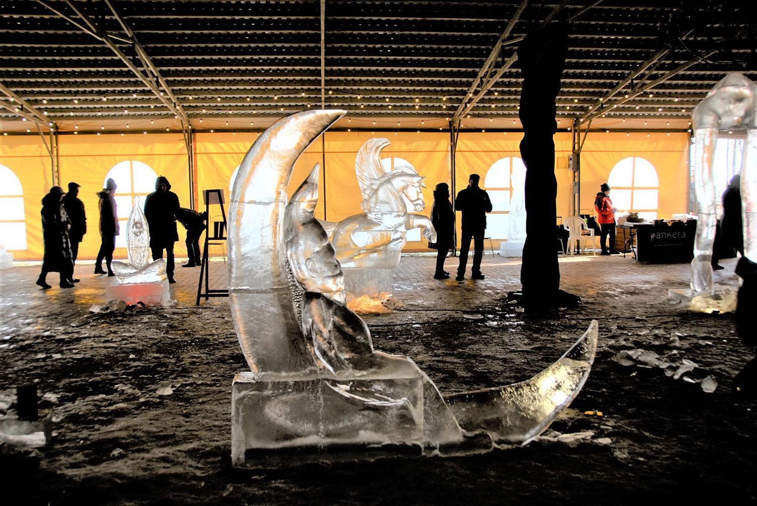 Taujėnų dvare akis užburia kūriniai iš ledo / Gedimino Nemunaičio nuotr. Taujėnų dvare eksponuojamos ledo skulptūros.