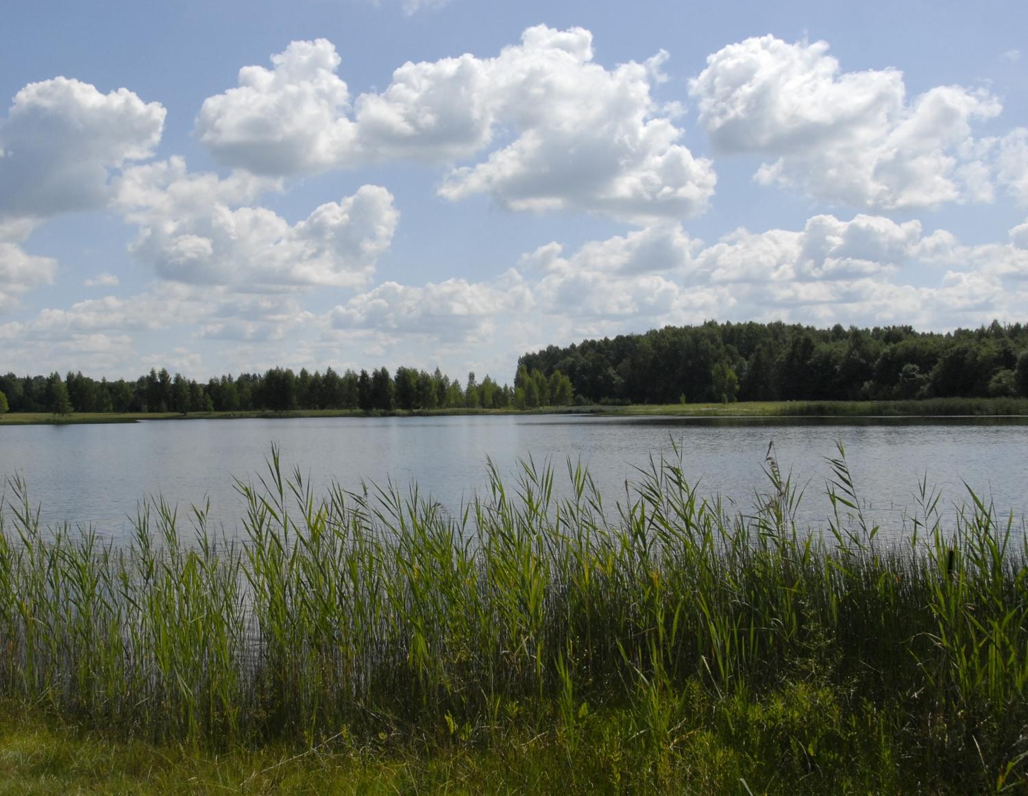 Tyrė rajono vandens telkinių vandens kokybę / Gedimino Nemunaičio nuotr.