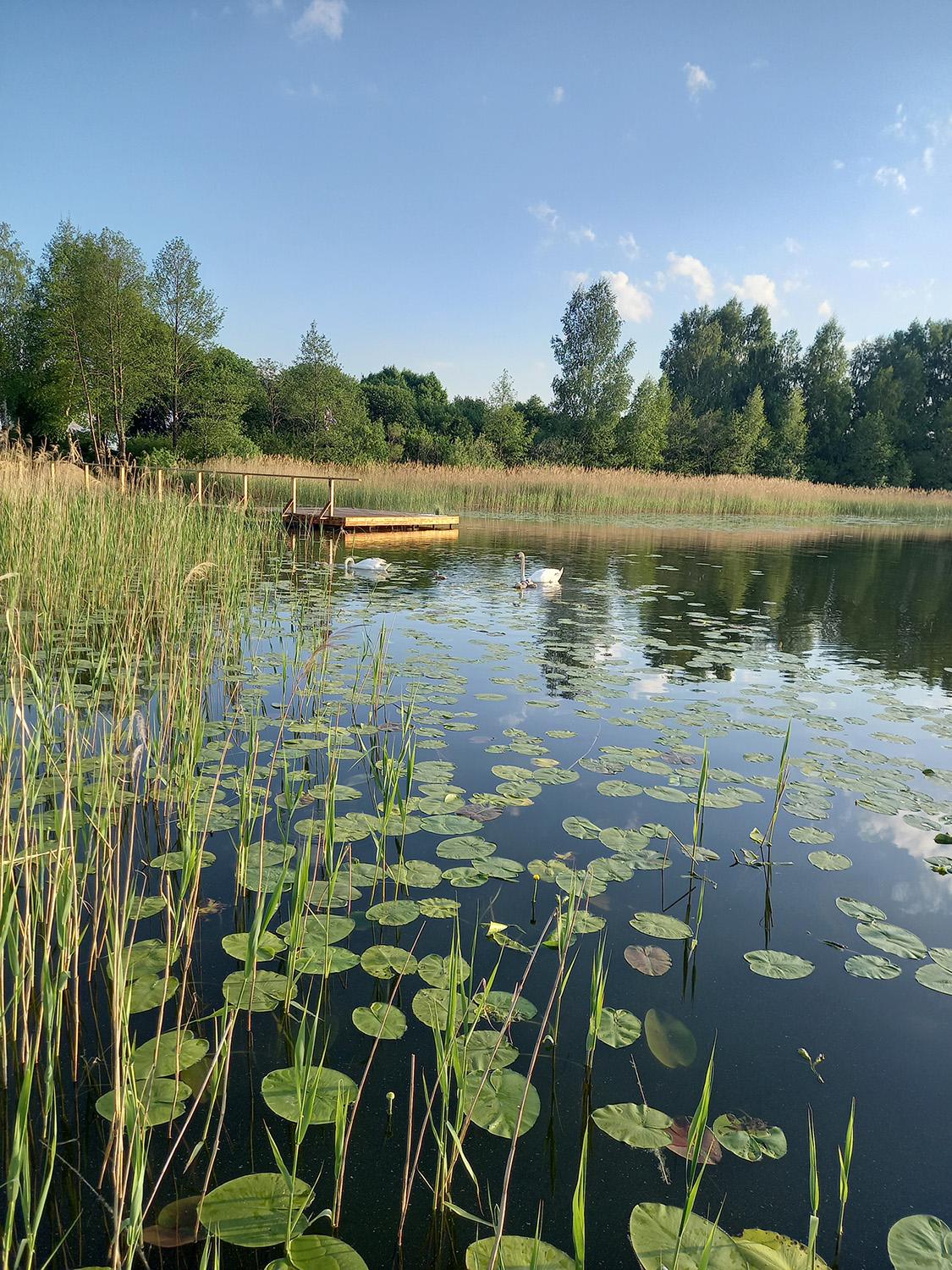 Vandens telkiniuose atliekami privalomi moksliniai tyrimai / Šiemet baigiasi daugelio Lietuvos vandens telkinių nuomos laikotarpis.