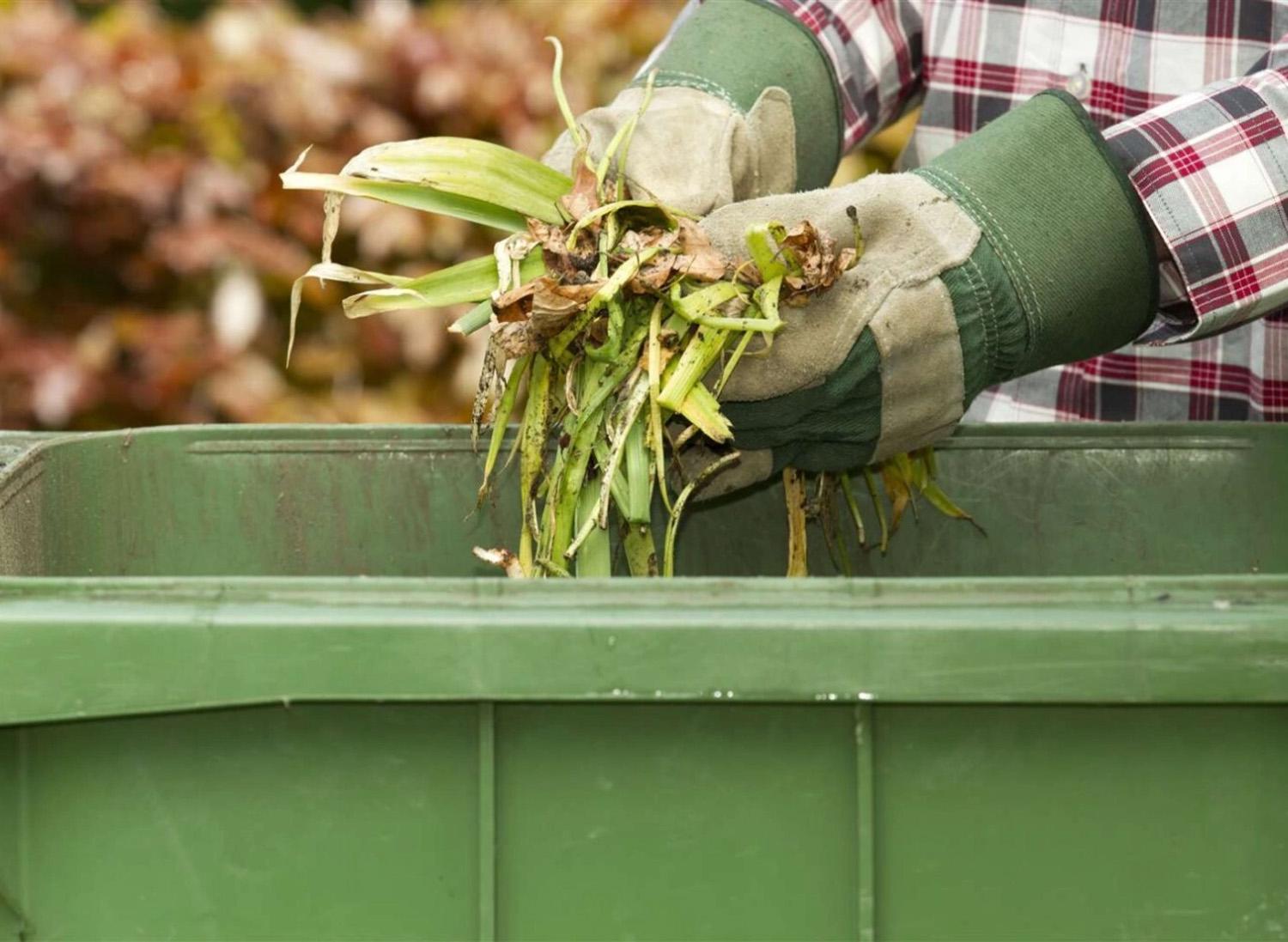 Žaliųjų atliekų tvarkymas: ką būtina žinoti? / Kompostuojamos žalienos tampa puikia trąša.