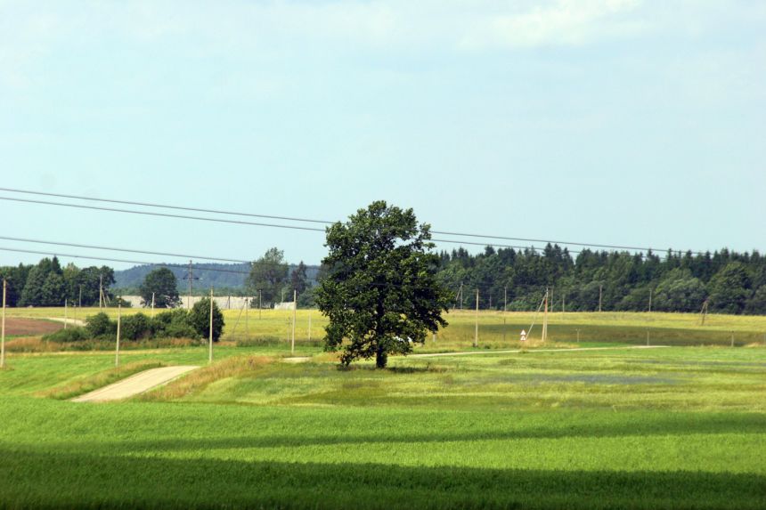 Laukus tręšiantiems tik mėšlu ir (ar) srutomis tręšimo planų nereikia
