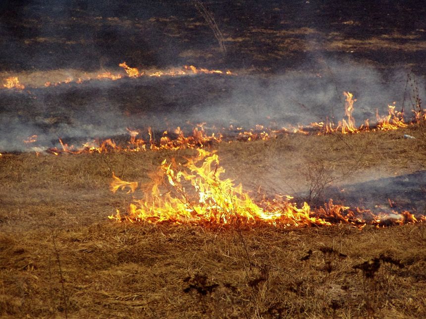 Prasidėjo žolynų gaisrai – įspėja apie reidus ir baudas