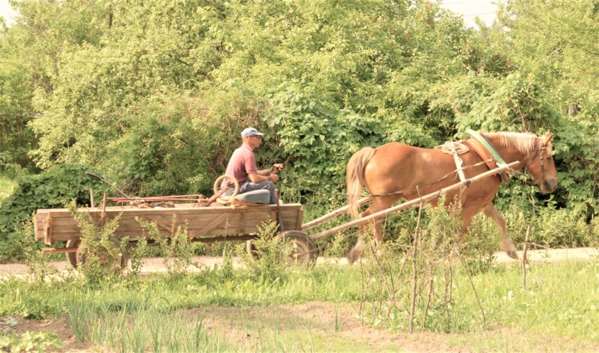 Sodininkų bendrijų problema – gatvių būklė